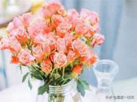 泰可泰勒传媒科技（上海）有限公司