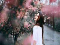 泰可泰勒传媒科技（上海）有限公司
