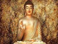 泰可泰勒传媒科技（上海）有限公司